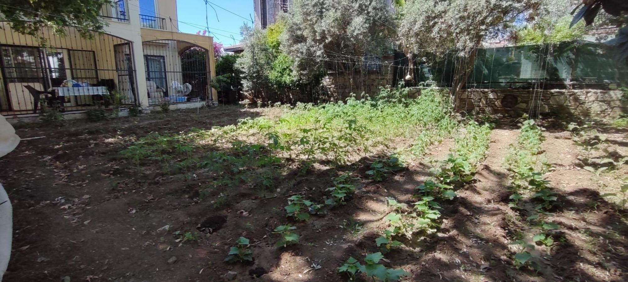 Cileks Apart Otel Fethiye Eksteriør billede